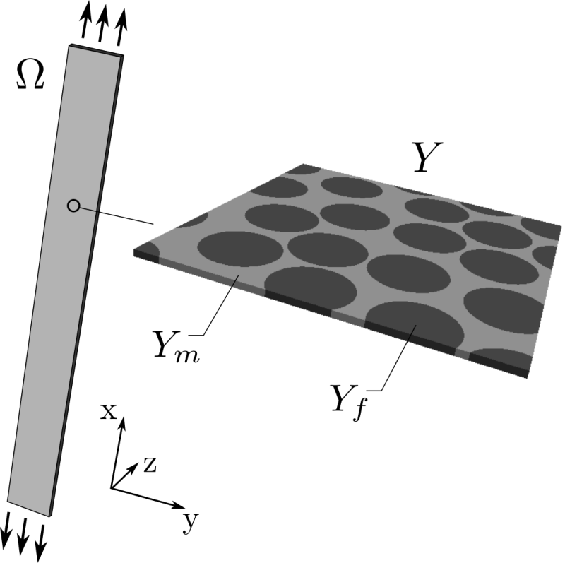 _images/macro_micro.png