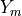 Y_m
