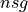 nsg